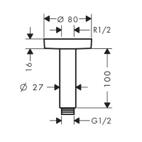 Hansgrohe Потолочное подсоединение верхнего душа 100мм, цвет: золото