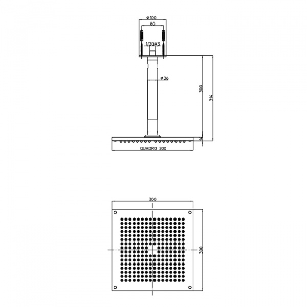 BOSSINI DREAM-CUBE Верхний душ 300 x 300 мм 1 режим - держателем вертикальным 300 x Ø 36 мм, цвет: хром