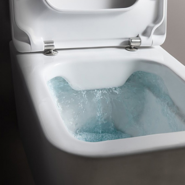 LAUFEN Pro S Сиденье для унитаза, микролифт, цвет: белый