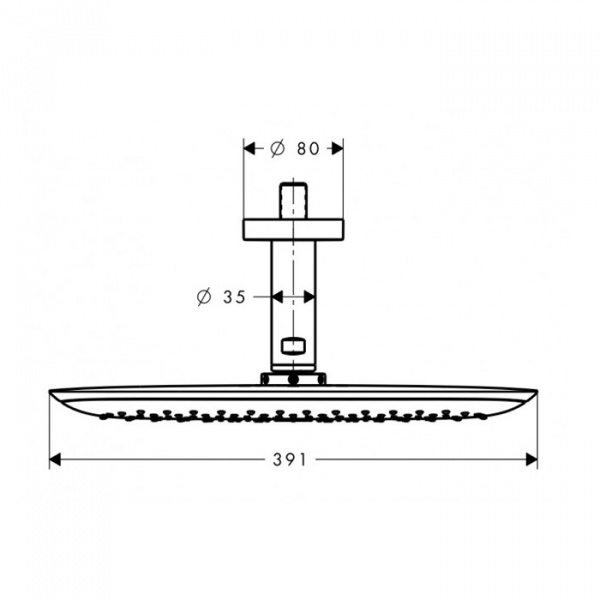 Hansgrohe Pura Vida Верхний душ, 390х260х160мм, Цвет: Хром