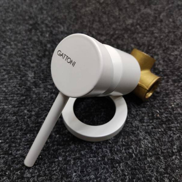 Gattoni Набор гигиен. душ: смеситель встроенный, гигиенич. душевая лейка , выпуск из стены-держатель душа, шланг 150см, цвет: Bianco Opaco