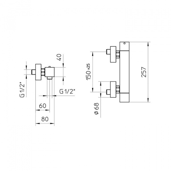 Bossini Cube Tермостат для душа, наружный, 1 выход  1/2', цвет: никель шлифованный
