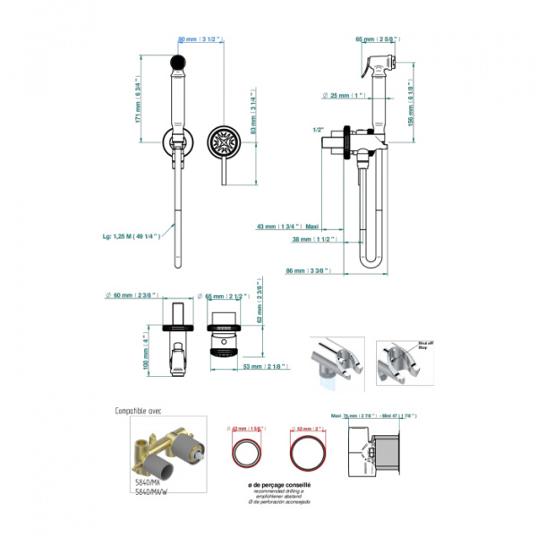THG Hirondelles Gold Stamped Гигиенический душ со встраиваемым смесителем, настенный, цвет: хром