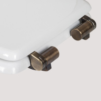 TW Bristol Сиденье для подвесного унитаза, микролифт, цвет: белый/бронза