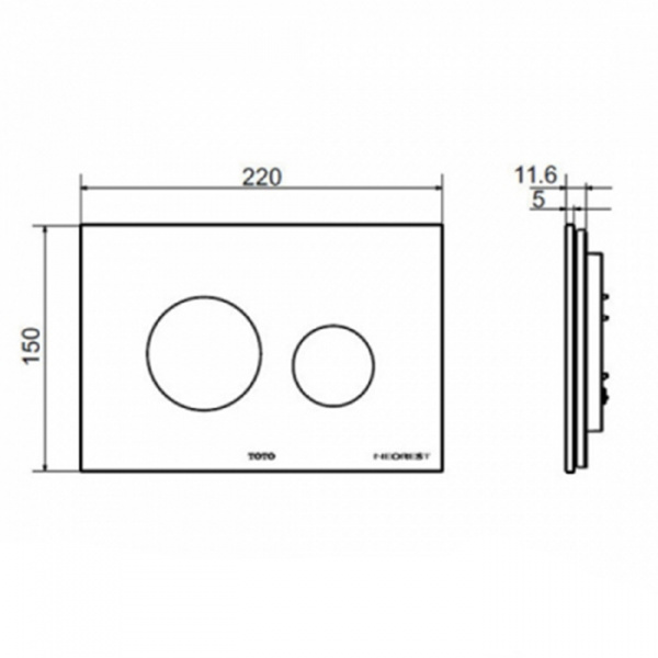 TOTO SG/Jewelhex Клавиша смыва, 220x5x150мм, подходит для встроенных бачков ТЕСЕ, цвет: белый