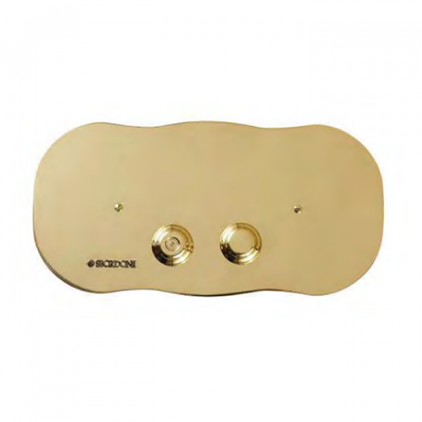 Sbordoni Romana Панель с кнопками двойного смыва для механизма Geberit, цвет: глянцевая латунь