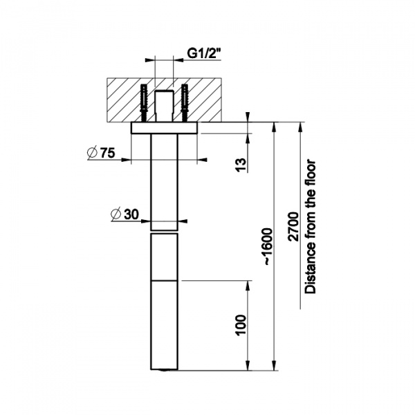 Gessi Ingranaggio Потолочный излив, цвет: хром