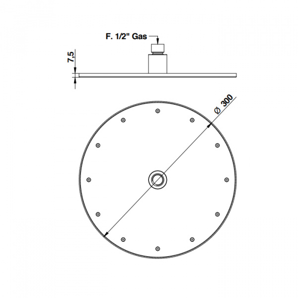 Bongio Soffioni Верхний душ, D300 мм, цвет: хром