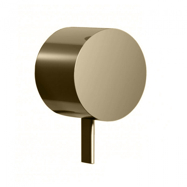 Fantini AF/21 Встраиваемый смеситель для душа, цвет: Matt British Gold PVD