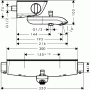Hansgrohe Ecostat Select Термостат настенный для ванны на 2 источника, с изливом 216мм, с полочкой из безопасного стекла, цвет: хром
